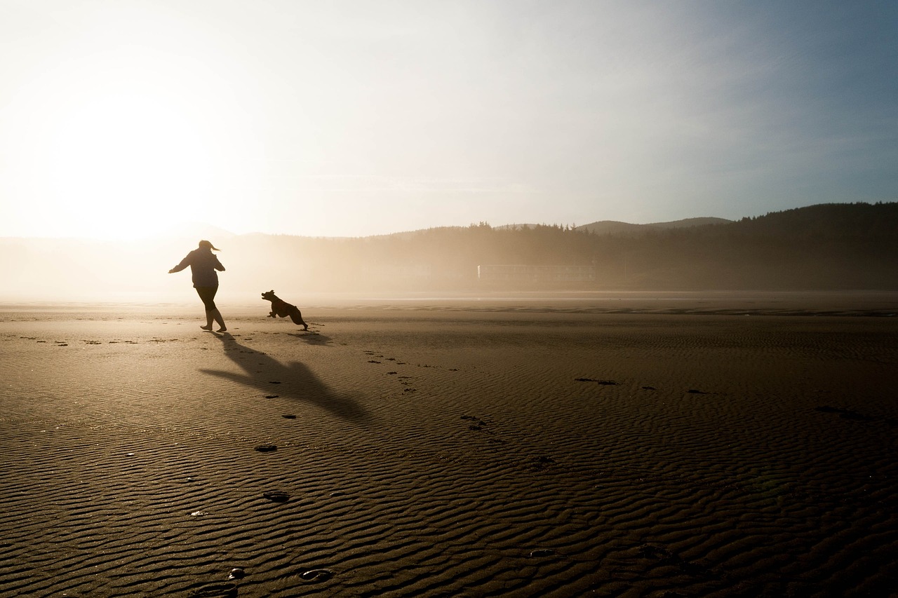 Jouer avec un chien sur la plage