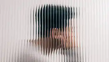L'homme derrière la vitre